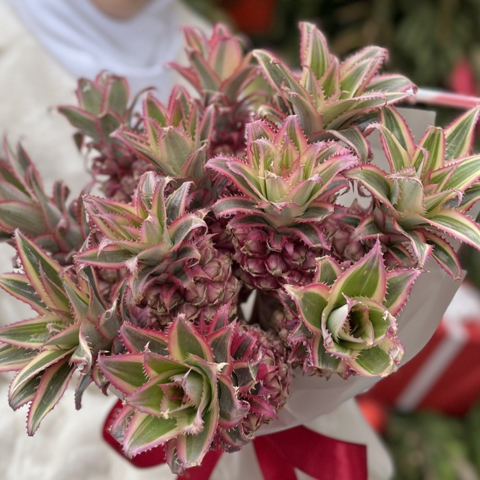 11 декоративных мини Ананасов