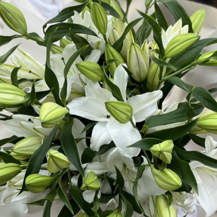 15 белых Восточных лилий