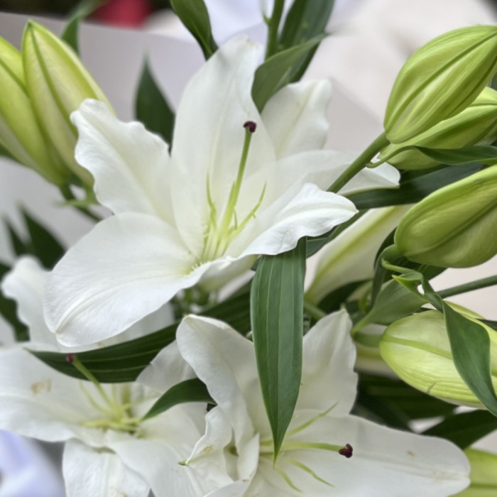 3 белые восточные лилии