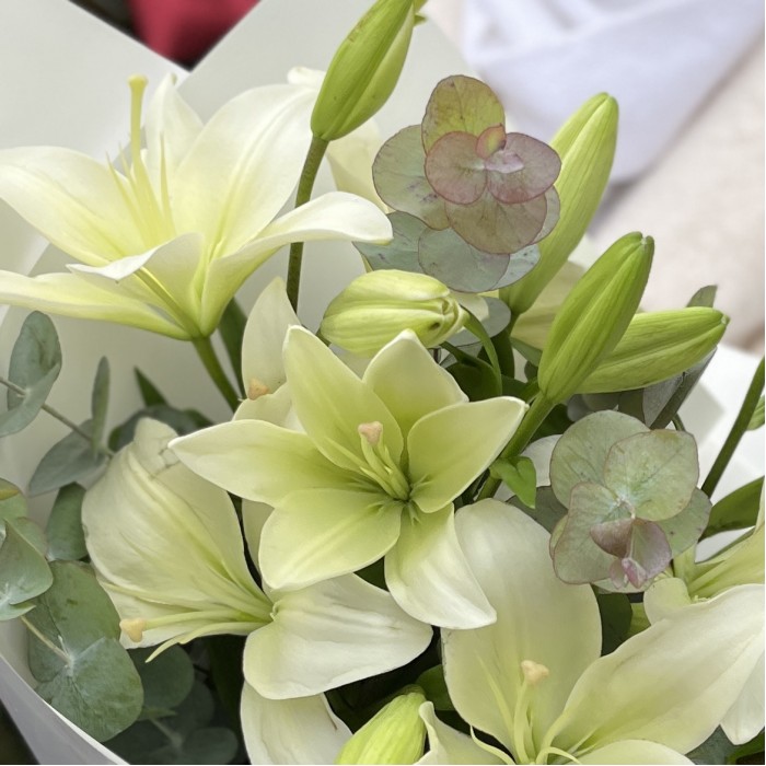 5 белых Восточных Лилий с эвкалиптом