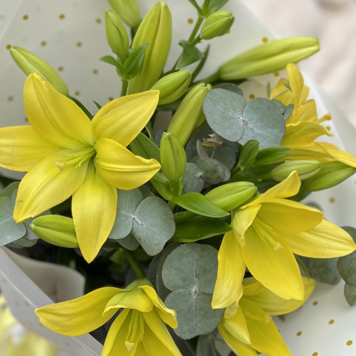 5 желтых лилий с эвкалиптом