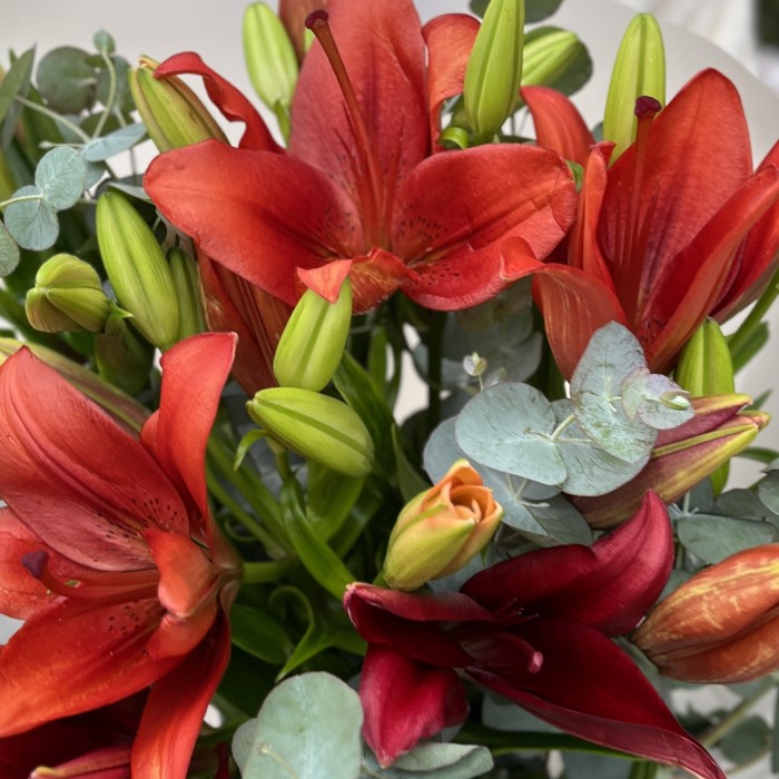 7 бордовых лилий с эвкалиптом