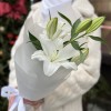 Белая восточная лилия