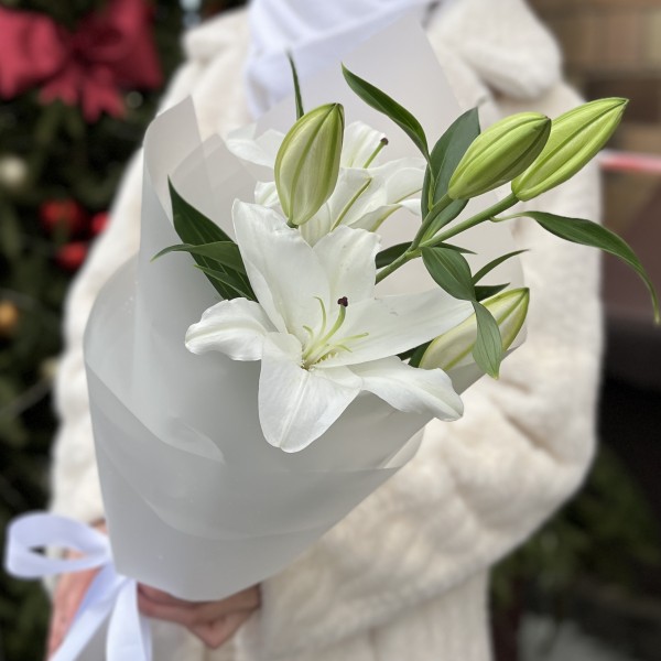 Белая восточная лилия