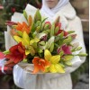 Микс из 11 Азиатских лилий