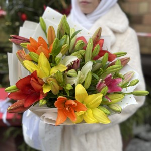 Микс из 11 Азиатских лилий