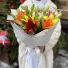 Микс из 11 Азиатских лилий