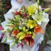 Микс из 15 Азиатских лилий