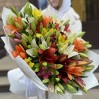 Микс из 25 Азиатских лилий