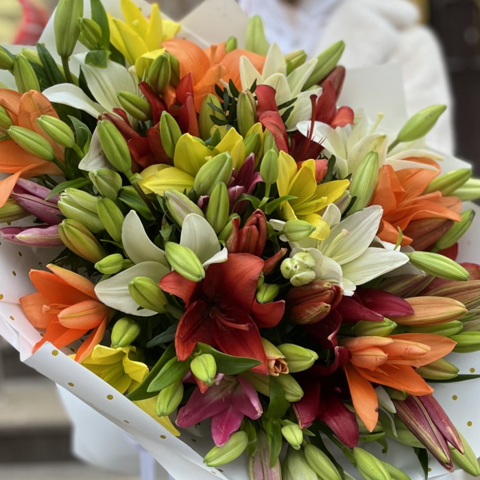 Микс из 25 Азиатских лилий