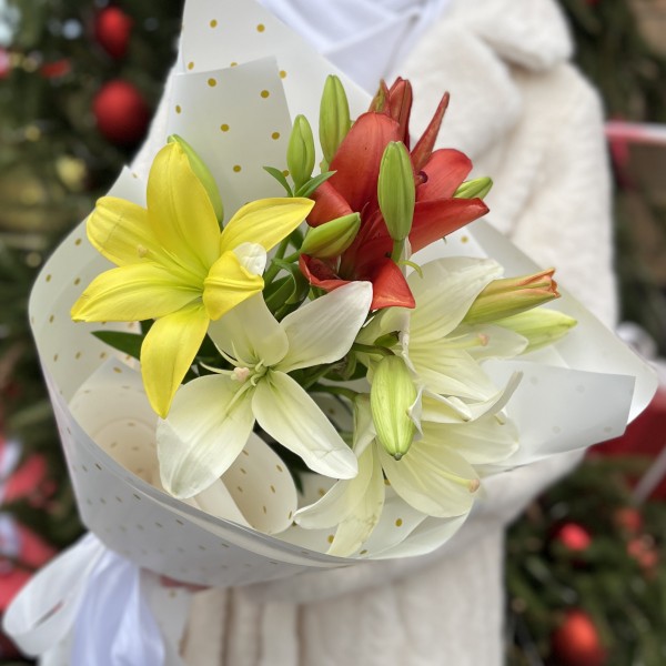 Микс из 3 Азиатских Лилий