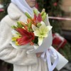 Микс из 5 Азиатских Лилий