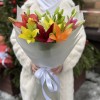 Микс из 7 Азиатских лилий