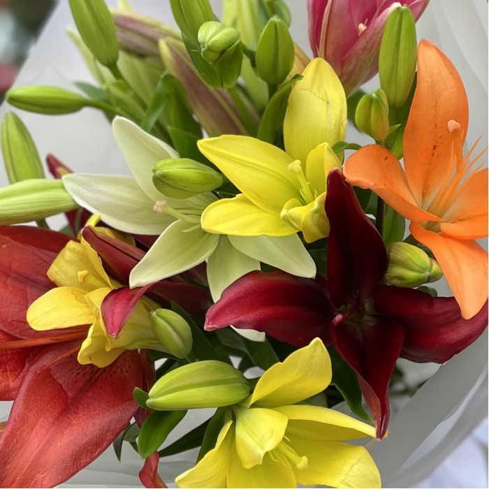 Микс из 7 Азиатских лилий