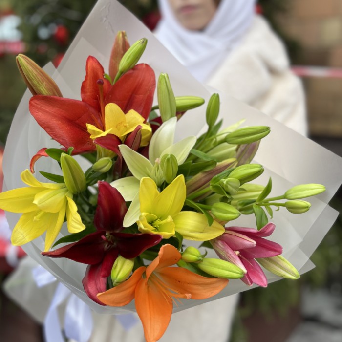 Микс из 7 Азиатских лилий