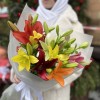 Микс из 7 Азиатских лилий