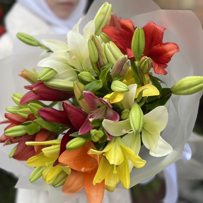 Микс из 9 Азиатских лилий
