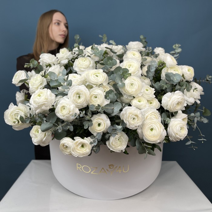 101 белый ранункулюс в большой коробке