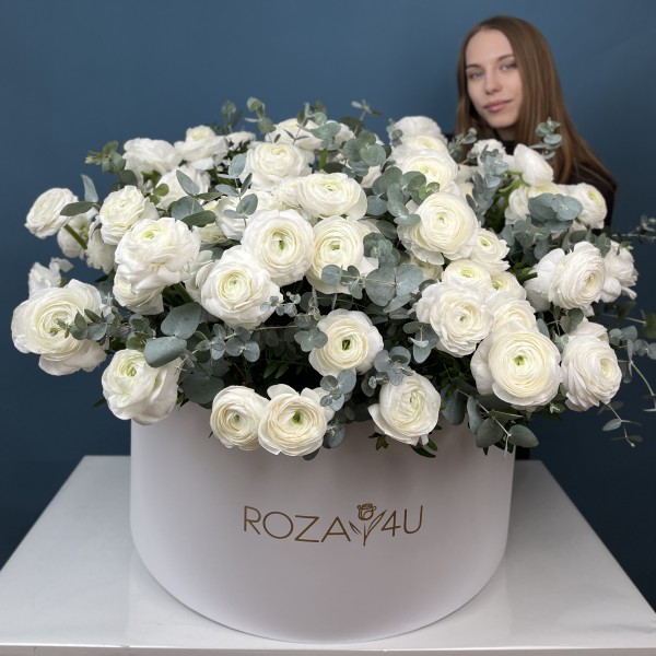101 белый ранункулюс в большой коробке