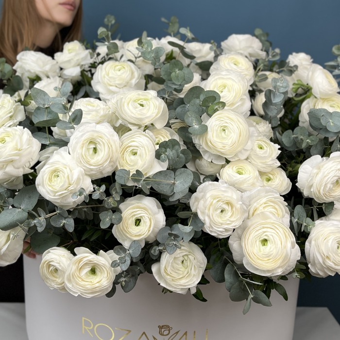 101 белый ранункулюс в большой коробке