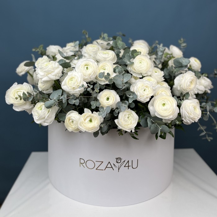 101 белый ранункулюс в большой коробке