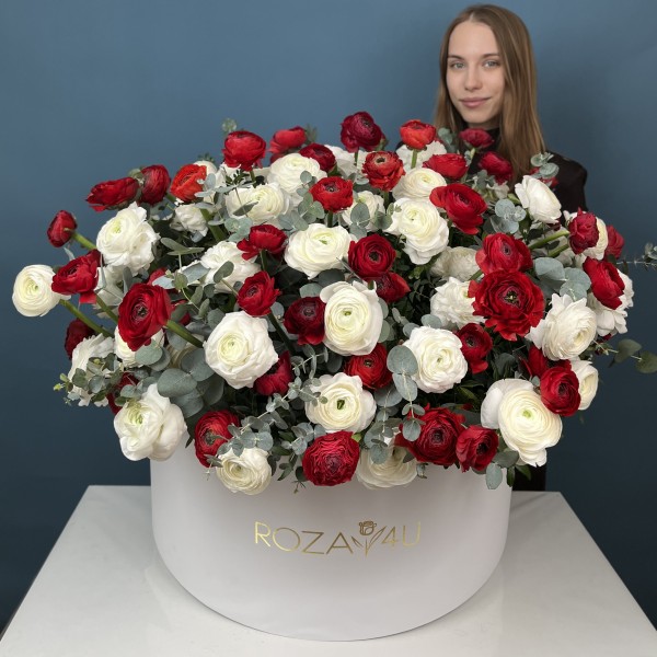 101 красный и белый ранункулюс в большой коробке