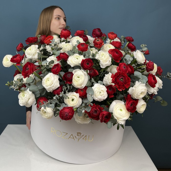 101 красный и белый ранункулюс в большой коробке
