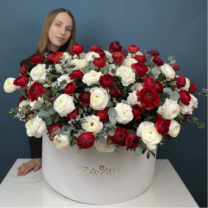 101 красный и белый ранункулюс в большой коробке