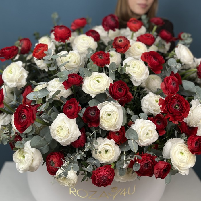 101 красный и белый ранункулюс в большой коробке