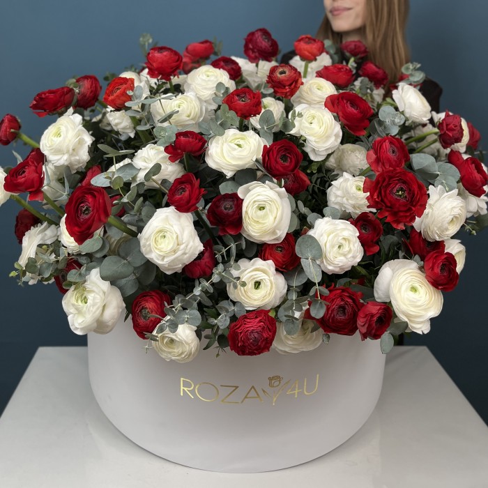 101 красный и белый ранункулюс в большой коробке