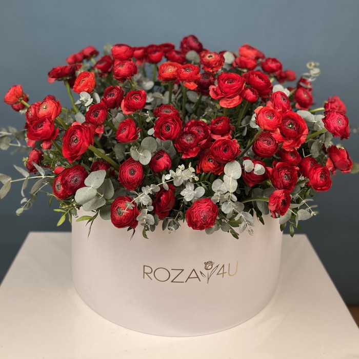 101 красный ранункулюс в большой коробке