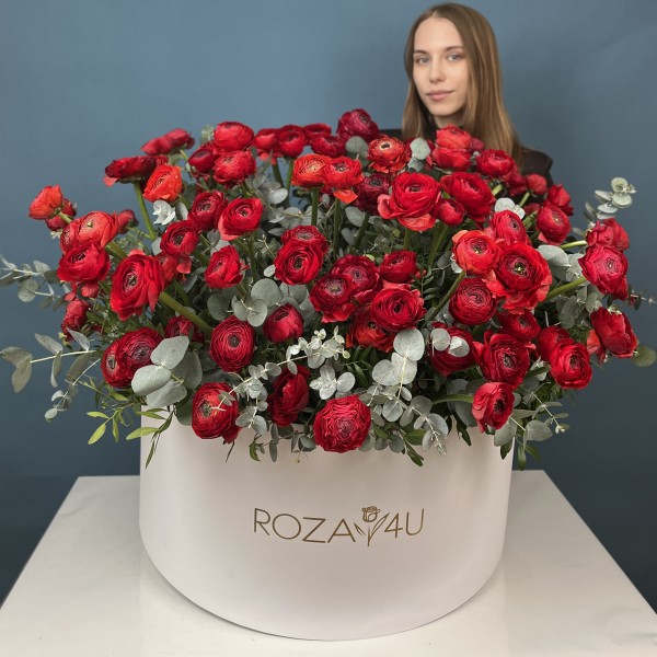 101 красный ранункулюс в большой коробке