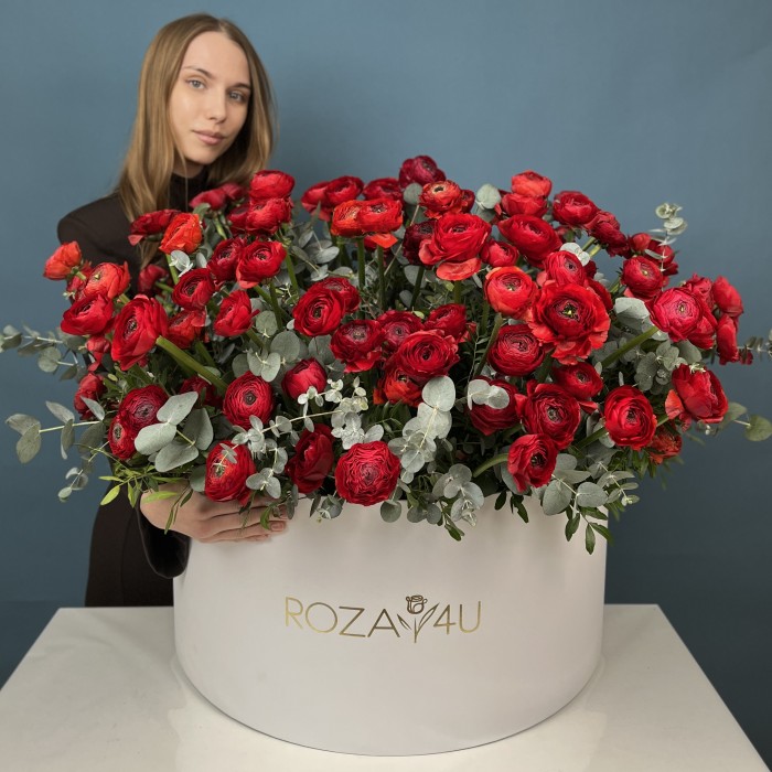 101 красный ранункулюс в большой коробке