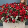 101 красный ранункулюс в большой коробке