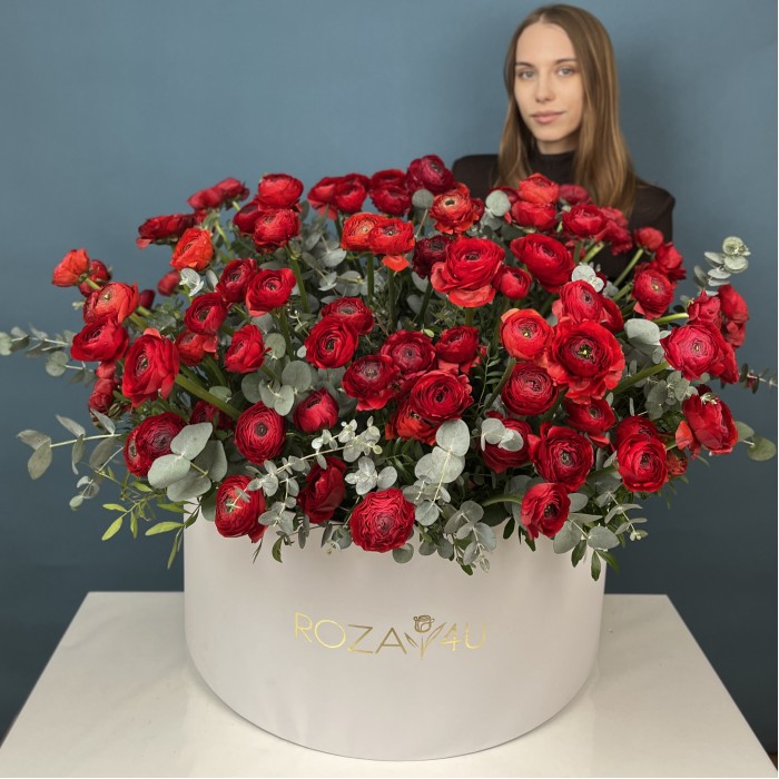 101 красный ранункулюс в большой коробке