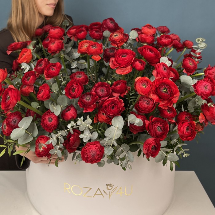 101 красный ранункулюс в большой коробке