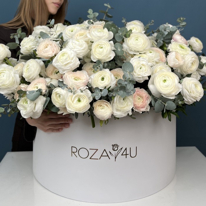 151 белый и нежно-розовый ранункулюс в большой коробке