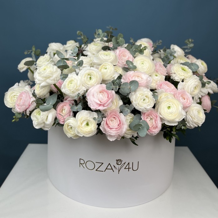 151 белый и розовый ранункулюс в большой коробке