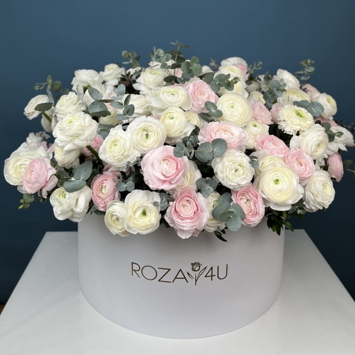 151 белый и розовый ранункулюс в большой коробке