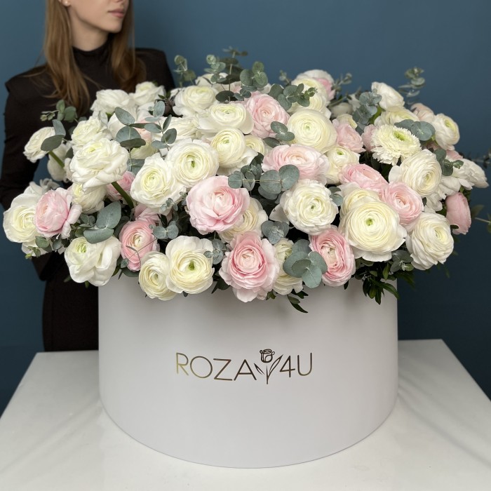 151 белый и розовый ранункулюс в большой коробке