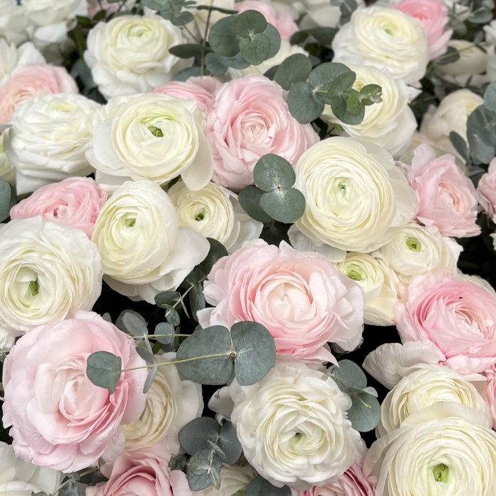151 белый и розовый ранункулюс в большой коробке