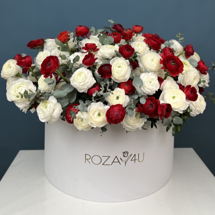 151 красный и белый ранункулюс в большой коробке