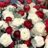 151 красный и белый ранункулюс в большой коробке
