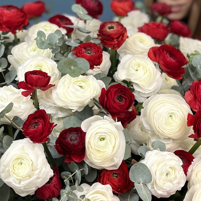 151 красный и белый ранункулюс в большой коробке