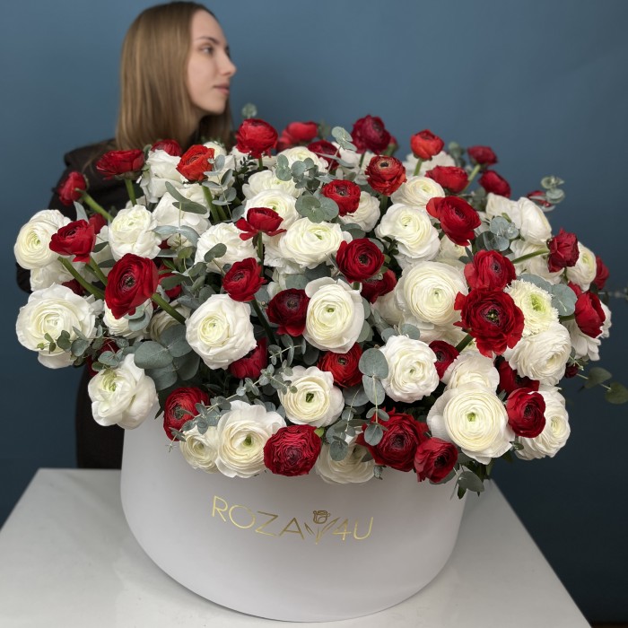 151 красный и белый ранункулюс в большой коробке