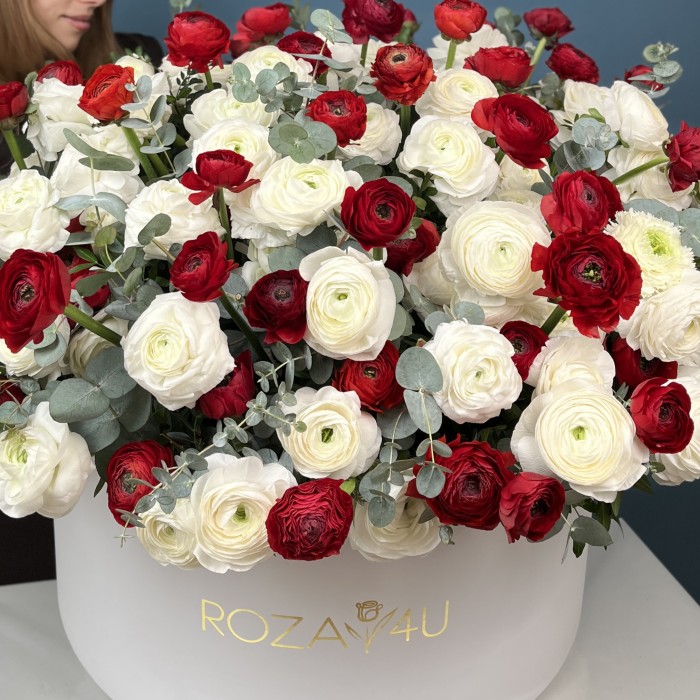 151 красный и белый ранункулюс в большой коробке