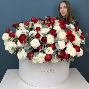 151 красный и белый ранункулюс в большой коробке