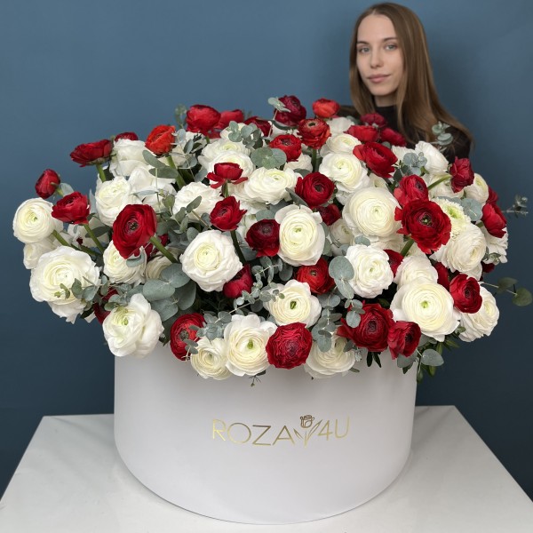 151 красный и белый ранункулюс в большой коробке