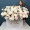 151 ранункулюс нежный микс
