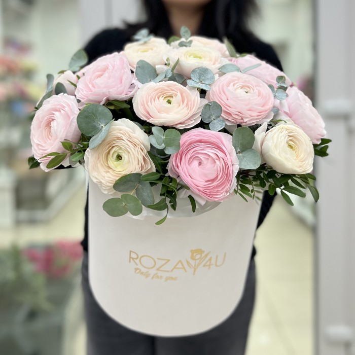 19 пышных розовых и белых Ранункулюсов в коробке